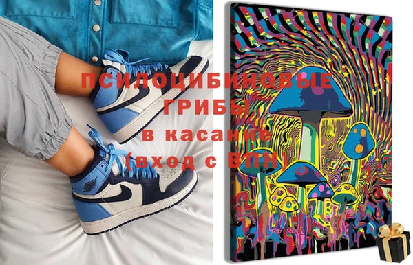 бошки Абаза