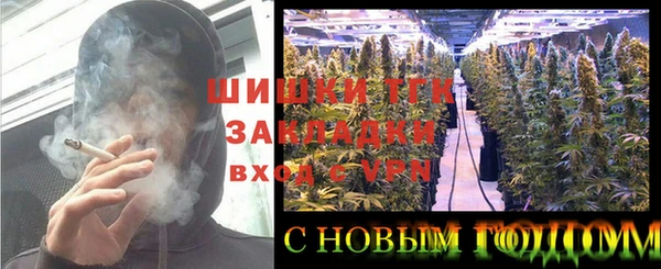 сатива Надым