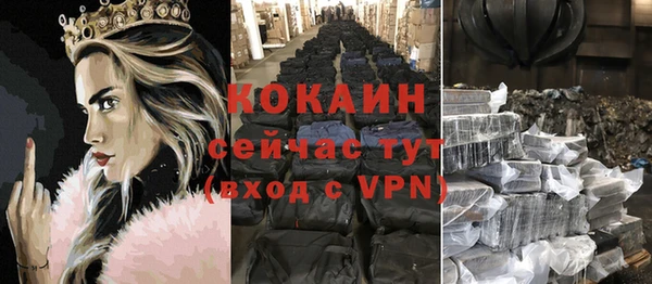сатива Надым