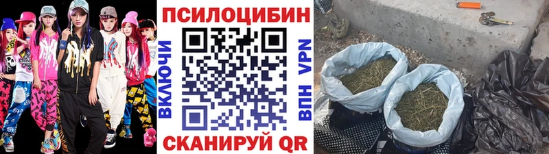 это состав  Рыльск  Галлюциногенные грибы прущие грибы 